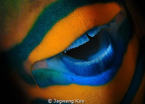 Mouth of Parrotfish by Jagwang Koo 